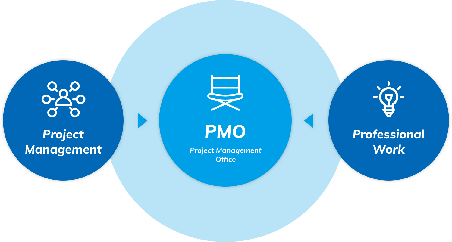 Project Management PMO Project Management Office Professional Work